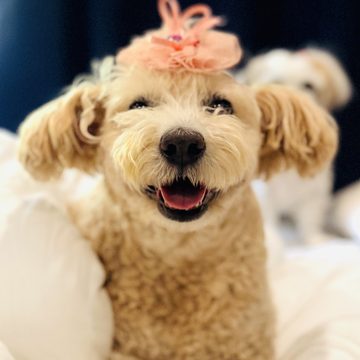 Coco